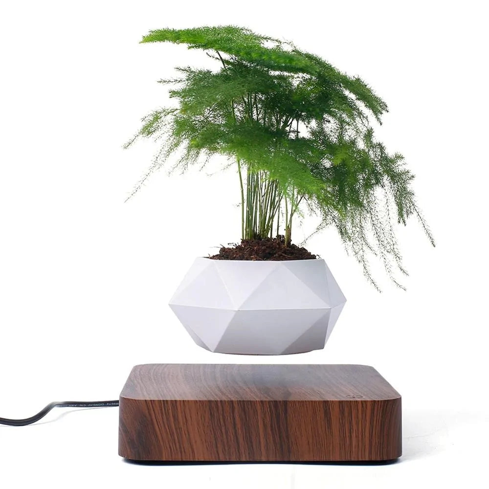 Air Levitation Bonsai Pot